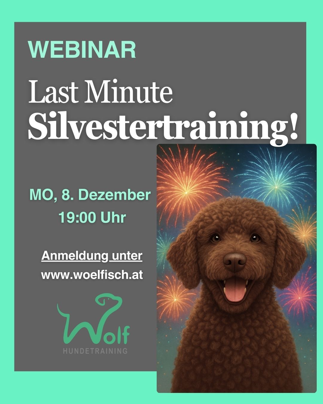 ZUM SILVESTERTRAINING!